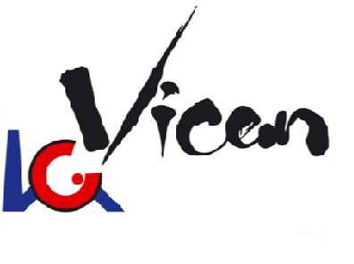 Vicem